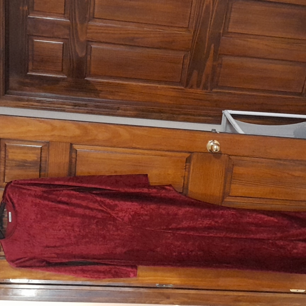 Red velvet dress